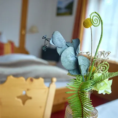 Montafon Moments 格尔提波希尔